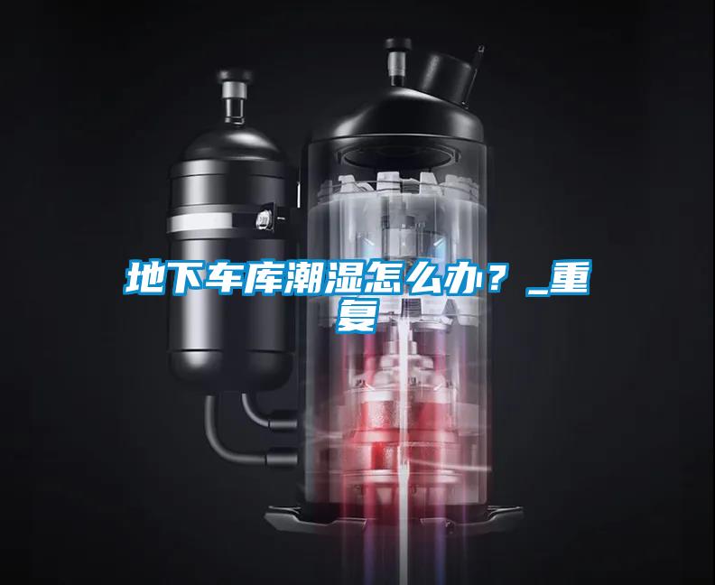 地下車(chē)庫(kù)潮濕怎么辦？_重復(fù)