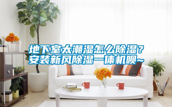 地下室太潮濕怎么除濕？安裝新風除濕一體機唄~