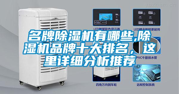 名牌除濕機有哪些,除濕機品牌十大排名，這里詳細(xì)分析推薦