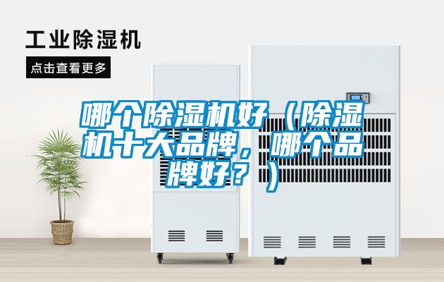 哪個除濕機好（除濕機十大品牌，哪個品牌好？）