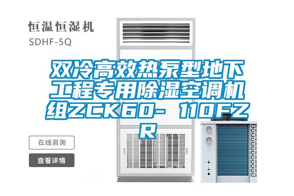 雙冷高效熱泵型地下工程專用除濕空調(diào)機組ZCK60- 110FZR