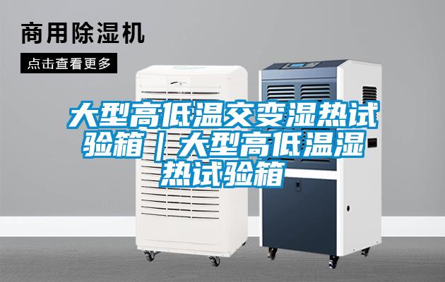 大型高低溫交變濕熱試驗(yàn)箱｜大型高低溫濕熱試驗(yàn)箱