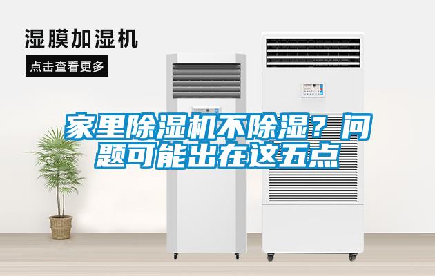 家里除濕機不除濕？問題可能出在這五點