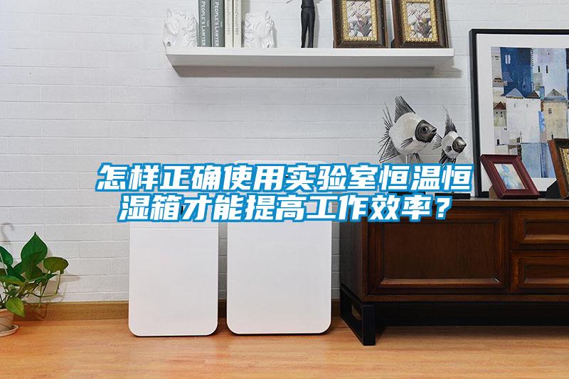 怎樣正確使用實(shí)驗(yàn)室恒溫恒濕箱才能提高工作效率？