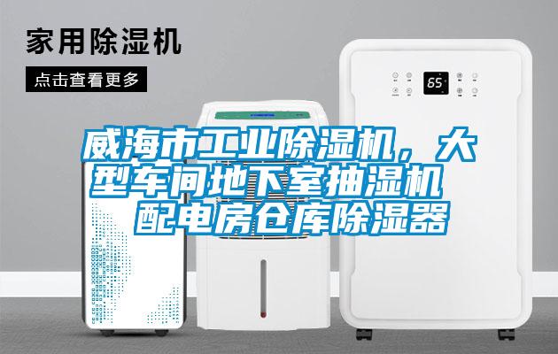 威海市工業(yè)除濕機(jī)，大型車(chē)間地下室抽濕機(jī)  配電房倉(cāng)庫(kù)除濕器