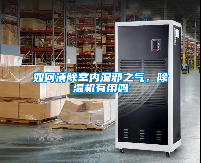 如何清除室內濕邪之氣，除濕機有用嗎