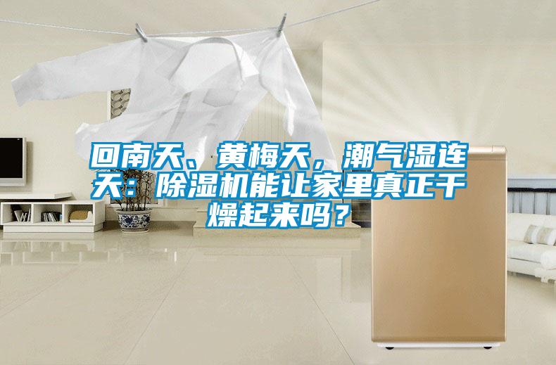 回南天、黃梅天，潮氣濕連天：除濕機能讓家里真正干燥起來嗎？