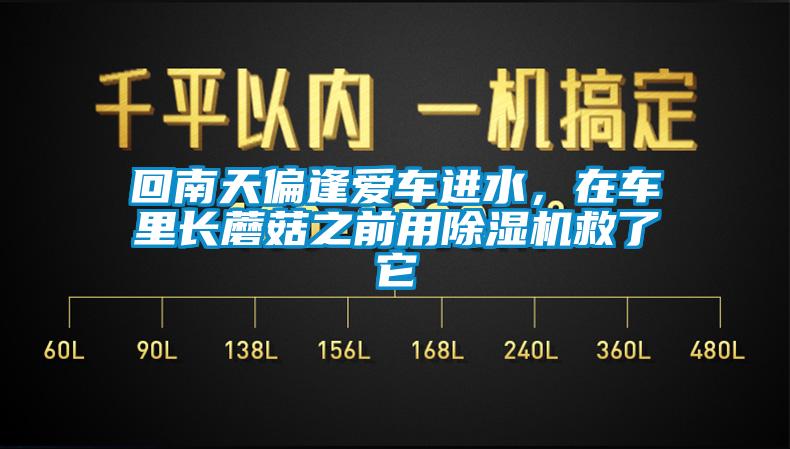 回南天偏逢愛車進水，在車里長蘑菇之前用除濕機救了它