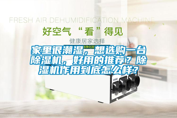 家里很潮濕，想選購一臺除濕機，好用的推薦？除濕機作用到底怎么樣？