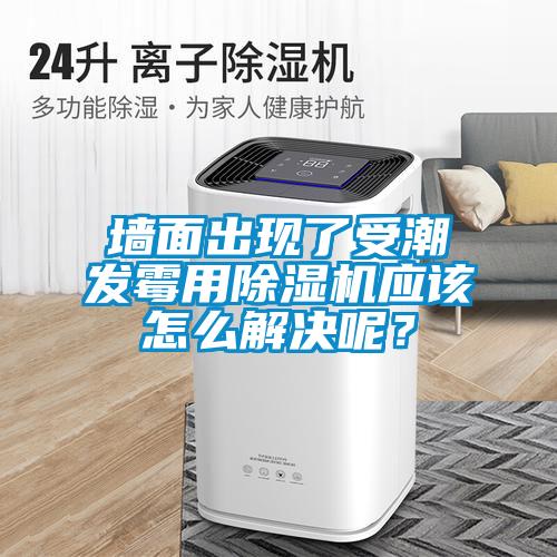 墻面出現了受潮發霉用除濕機應該怎么解決呢？
