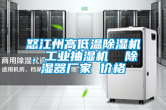 怒江州高低溫除濕機(jī)，工業(yè)抽濕機(jī)  除濕器廠家 價格