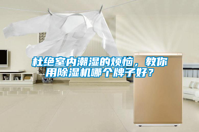 杜絕室內潮濕的煩惱，教你用除濕機哪個牌子好？