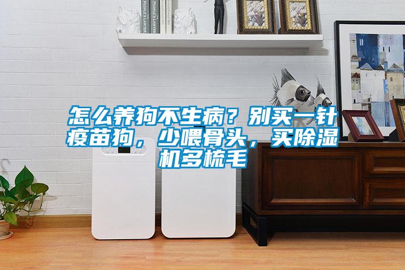 怎么養狗不生?。縿e買一針疫苗狗，少喂骨頭，買除濕機多梳毛