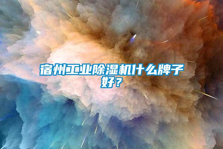 宿州工業(yè)除濕機(jī)什么牌子好？