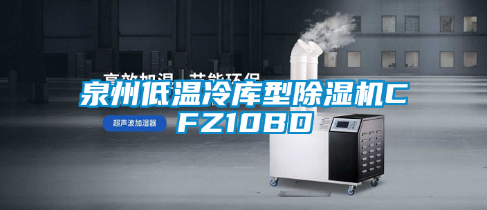泉州低溫冷庫型除濕機(jī)CFZ10BD
