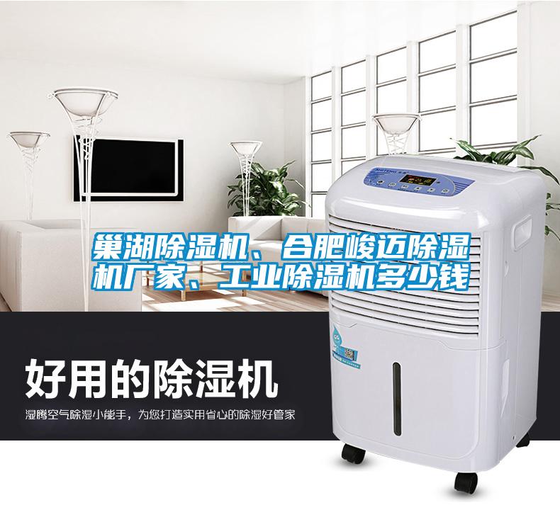巢湖除濕機(jī)、合肥峻邁除濕機(jī)廠家、工業(yè)除濕機(jī)多少錢