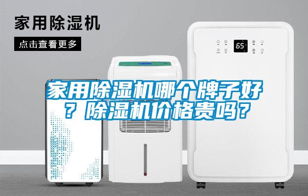 家用除濕機(jī)哪個(gè)牌子好？除濕機(jī)價(jià)格貴嗎？