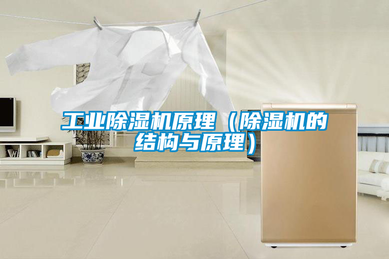 工業除濕機原理（除濕機的結構與原理）