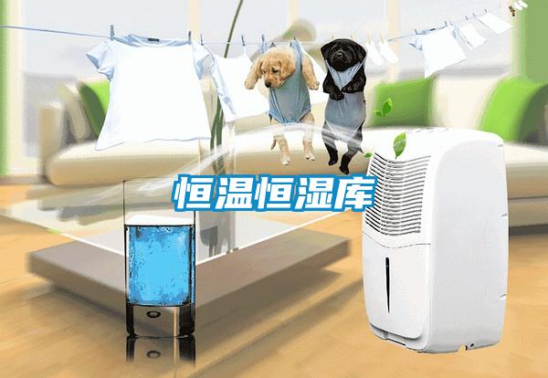 恒溫恒濕庫(kù)