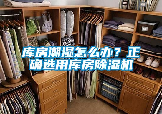 庫(kù)房潮濕怎么辦？正確選用庫(kù)房除濕機(jī)