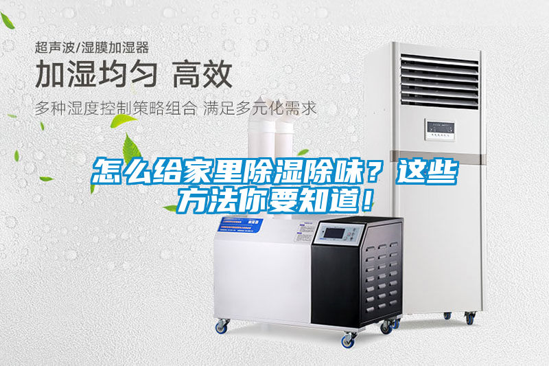 怎么給家里除濕除味？這些方法你要知道！