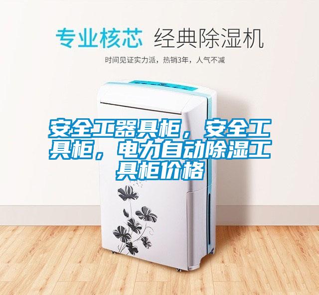 安全工器具柜，安全工具柜，電力自動除濕工具柜價格