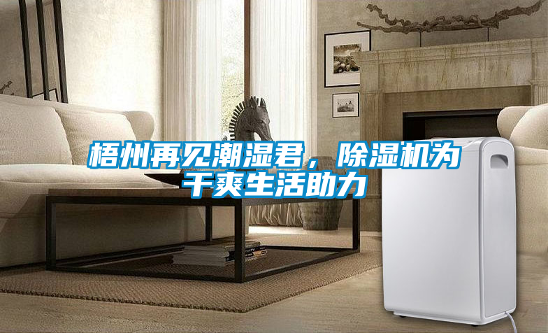 梧州再見潮濕君，除濕機為干爽生活助力
