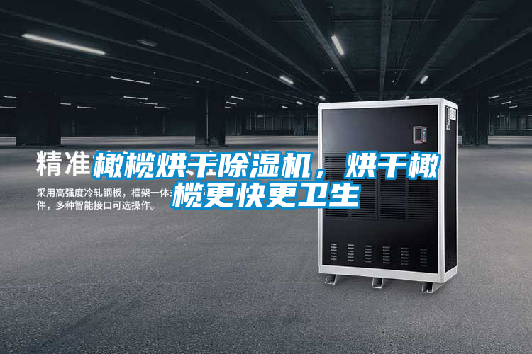 橄欖烘干除濕機(jī)，烘干橄欖更快更衛(wèi)生