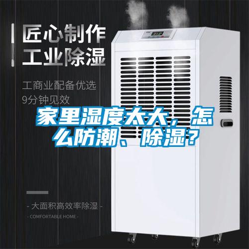 家里濕度太大，怎么防潮、除濕？