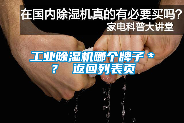 工業除濕機哪個牌子＊？ 返回列表頁