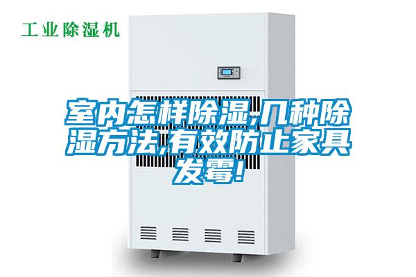 室內怎樣除濕,幾種除濕方法,有效防止家具發霉!