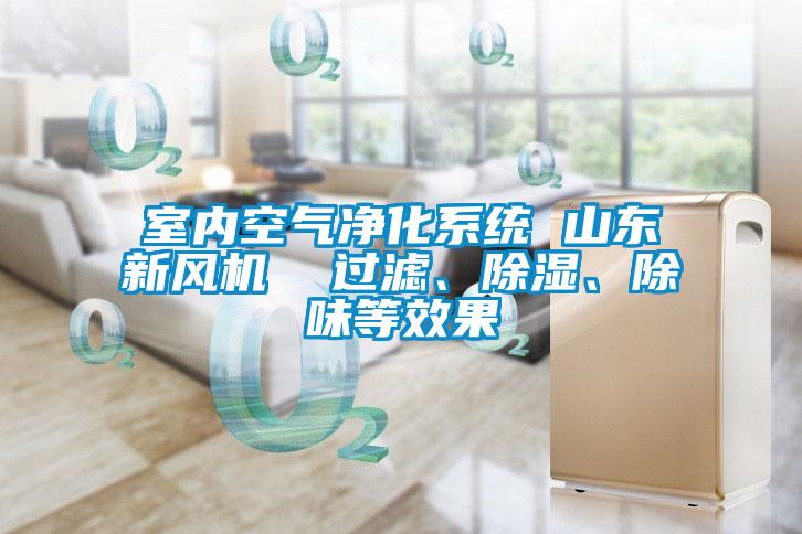 室內(nèi)空氣凈化系統(tǒng) 山東新風(fēng)機(jī)  過(guò)濾、除濕、除味等效果