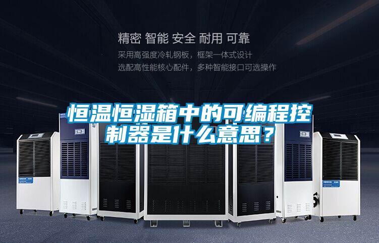 恒溫恒濕箱中的可編程控制器是什么意思？