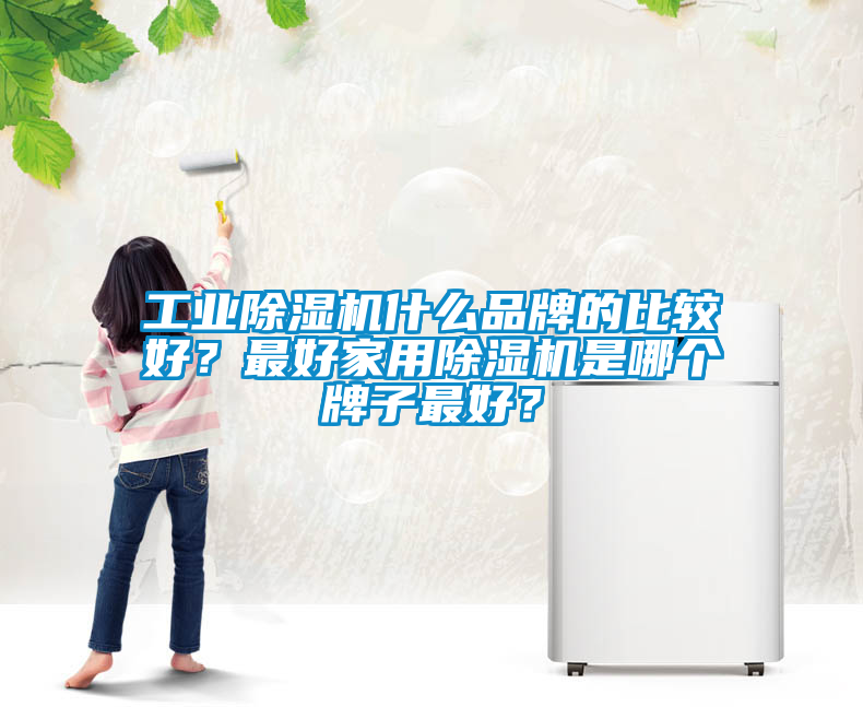 工業(yè)除濕機(jī)什么品牌的比較好？最好家用除濕機(jī)是哪個牌子最好？