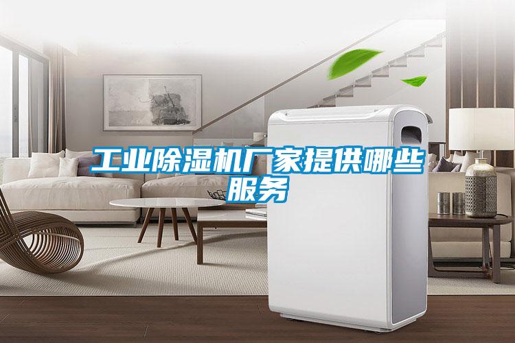 工業除濕機廠家提供哪些服務