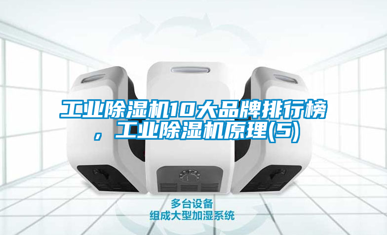 工業除濕機10大品牌排行榜，工業除濕機原理(5)