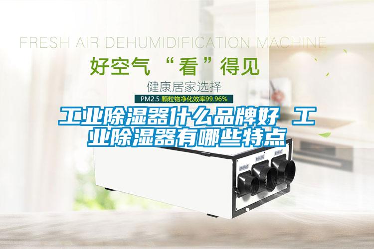 工業除濕器什么品牌好 工業除濕器有哪些特點