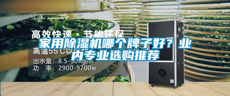 家用除濕機哪個牌子好？業(yè)內專業(yè)選購推薦