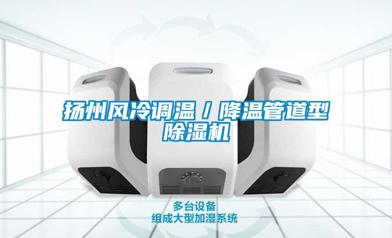 揚州風冷調溫／降溫管道型除濕機