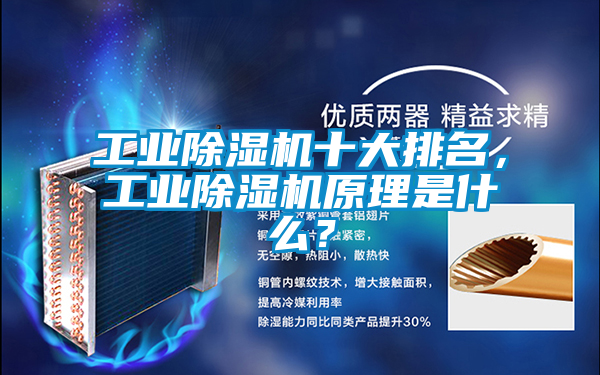 工業(yè)除濕機(jī)十大排名，工業(yè)除濕機(jī)原理是什么？