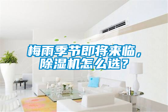 梅雨季節即將來臨，除濕機怎么選？