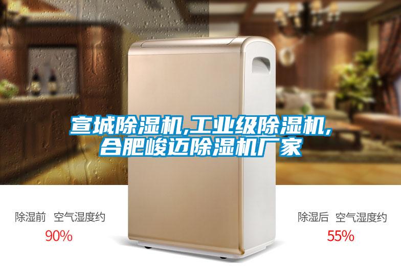 宣城除濕機,工業級除濕機,合肥峻邁除濕機廠家