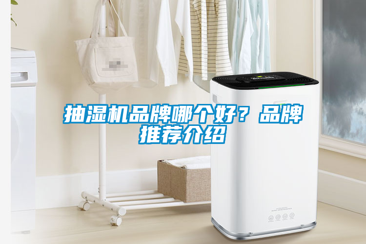 抽濕機品牌哪個好？品牌推薦介紹
