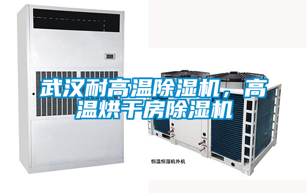 武漢耐高溫除濕機，高溫烘干房除濕機
