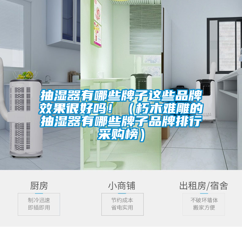 抽濕器有哪些牌子這些品牌效果很好嗎?。ㄐ嗄倦y雕的抽濕器有哪些牌子品牌排行采購榜）