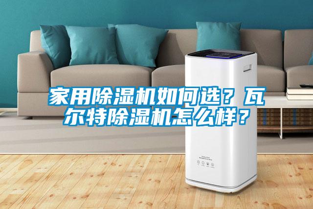 家用除濕機如何選？瓦爾特除濕機怎么樣？
