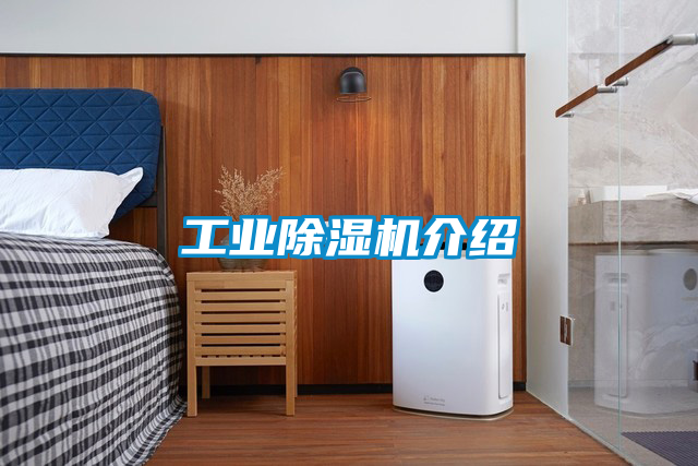 工業(yè)除濕機介紹
