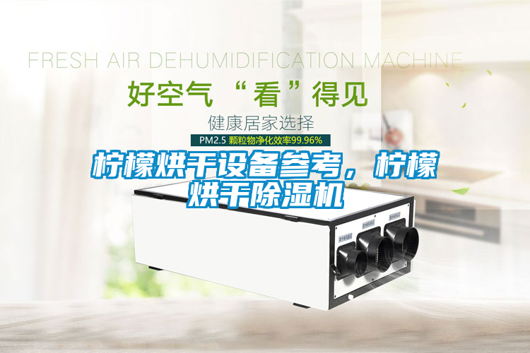 檸檬烘干設備參考，檸檬烘干除濕機