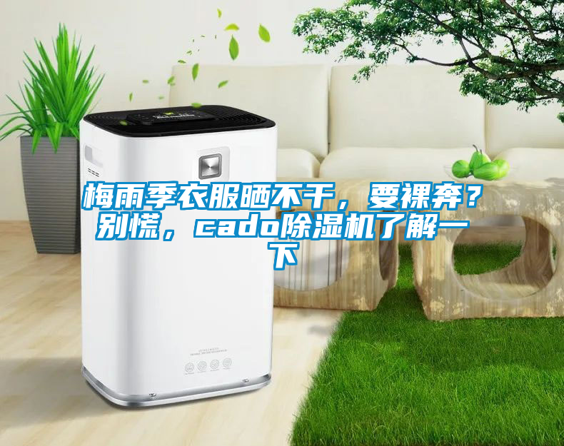梅雨季衣服曬不干，要裸奔？別慌，cado除濕機了解一下
