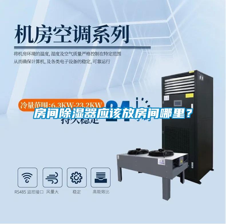 房間除濕器應該放房間哪里？